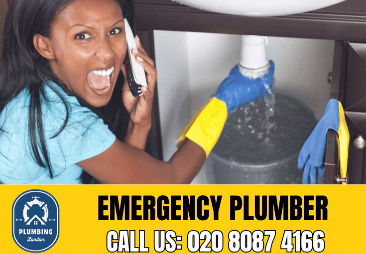 emergency plumber Hampton Hill