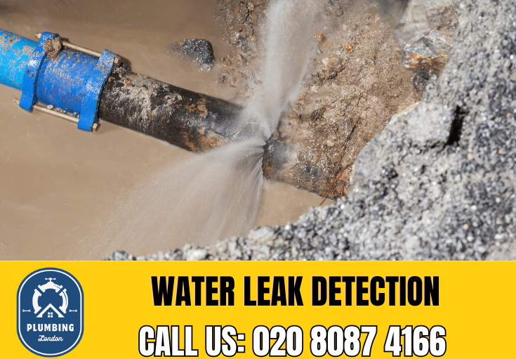 leak detection Hampton Hill