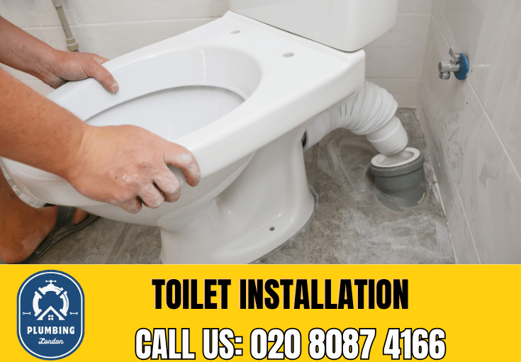 toilet fitters Hampton Hill